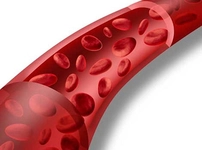 Damar Hastalıkları Belirtileri ve Tedavisi Damar Hastalıkları Belirtileri ve Tedavisi